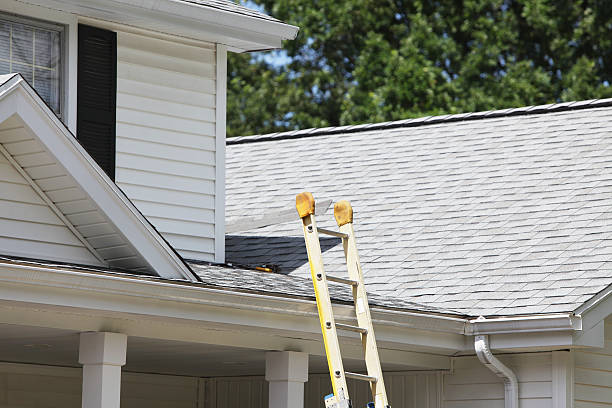 Best Hoarding Cleanup  in Shively, KY