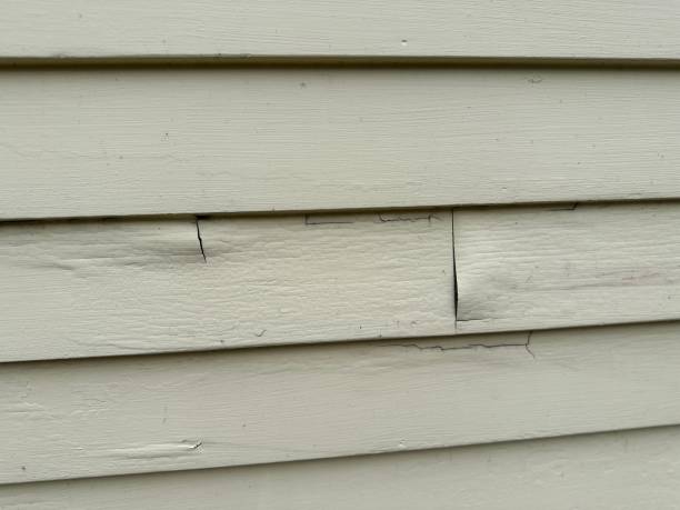  Shively, KY Junk Removal Pros